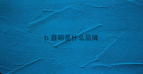 b 音响是什么品牌